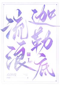 综漫迦勒底在逃