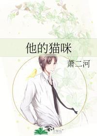 他的猫无弹窗
