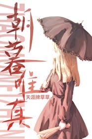 朝真暮伪是什么意思