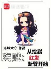 海贼从捡到红发断臂开始在线