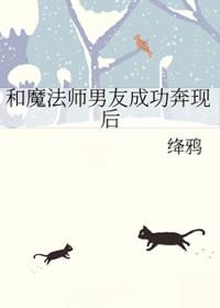 魔法师男友成功奔现后作者绛鸦