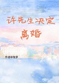 许先生决定离婚剧透