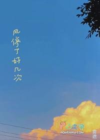 风停了好几次雾遮免费阅读完结版