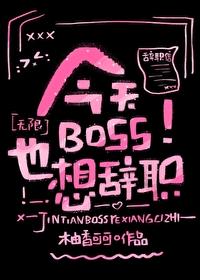 今天boss也想辞职笔趣阁无弹窗