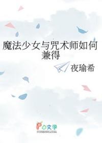 魔法少女她兼职咒术师