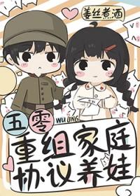 七零重组家庭五叶