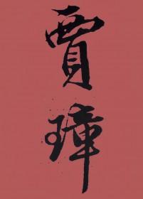 红楼贾璋传惊鸿无防盗