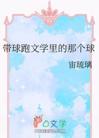 带球跑文学里的那个球宙琉璃