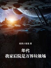 年代我家后院是万界垃圾场免费阅读