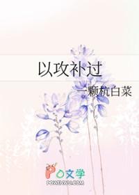以攻补过趣书网