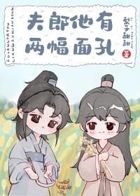 他有两副面孔gl
