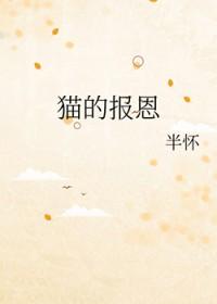 犬夜叉和猫