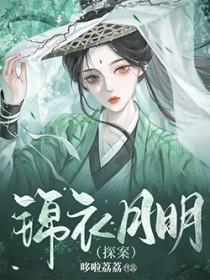 锦衣月明探案好看吗