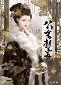 公主新寡最新章节更新内容