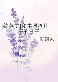 综英美韦恩日记
