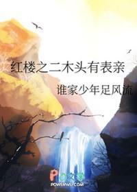 综红楼二木头的主母生活