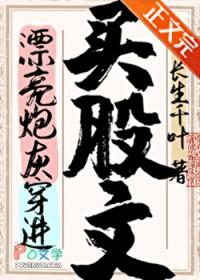 漂亮炮灰穿进买股文后晋江