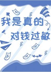 我是真的对钱过敏无防盗