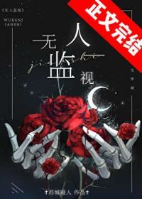 无人监视 作者苏城哑人