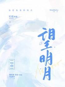 望明月歌曲