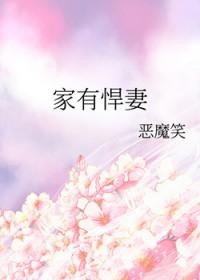家有悍妻电视剧