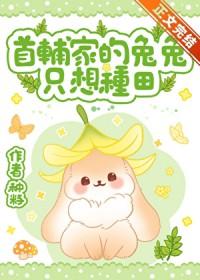 首辅的农家