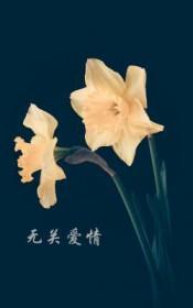 无关爱情的高级短句