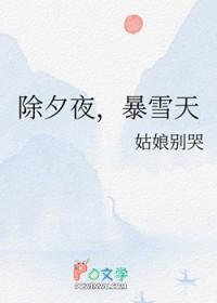 除夕夜暴雪天完结了吗