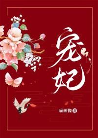 宠妃!