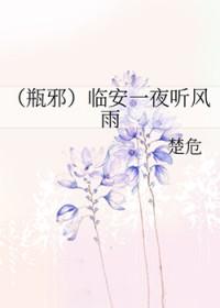 瓶邪临安一夜听风雨txt