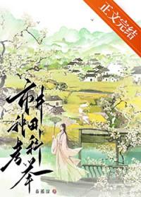 市井种田考科举免费阅读