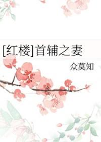 红楼之首辅家的小