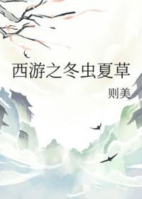 西游同人言情