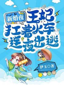 王妃大婚之夜出逃