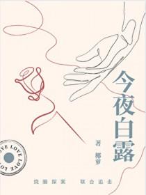 小镇迷踪