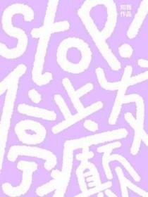 stop!停止发癫番外