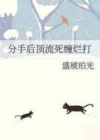 分手后火爆娱乐圈番外