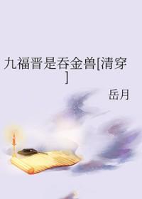 清穿九福晋