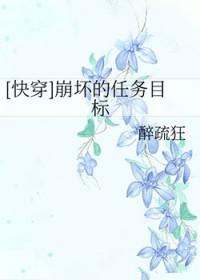 崩坏的任务目标快穿2