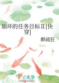 崩坏的任务目标2