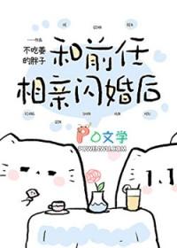 和前任协议闪婚后番外