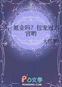 氪金吗?包宠冠六宫哟30