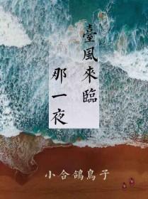 台风来临那一夜by小各鸽子讲的什么