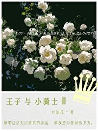 今天王子插排图片