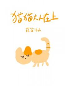 猫大人在哪