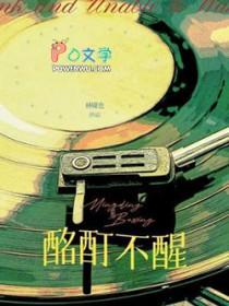 酩酊不醒TXT盘