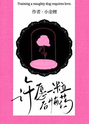 许愿一粒后悔药TXT