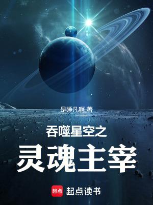 吞噬星空之灵魂主宰TXT书包网