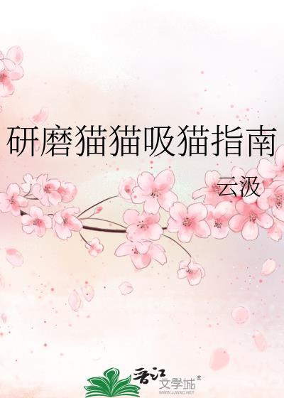 研磨猫猫吸猫指南txt