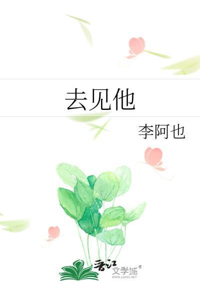 去见他by李阿也全文免费阅读笔趣阁最